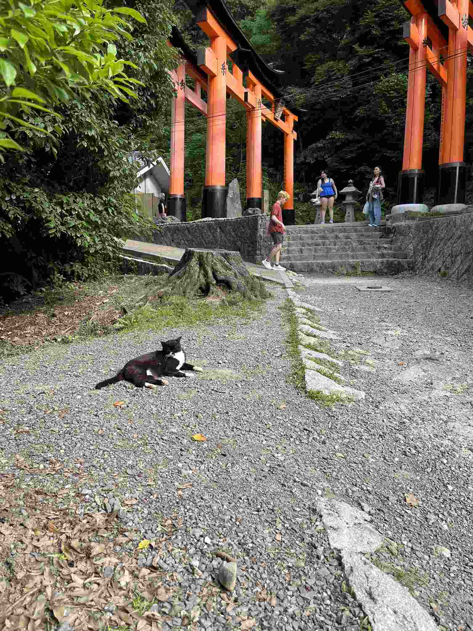 Fushimi Inari Shrine