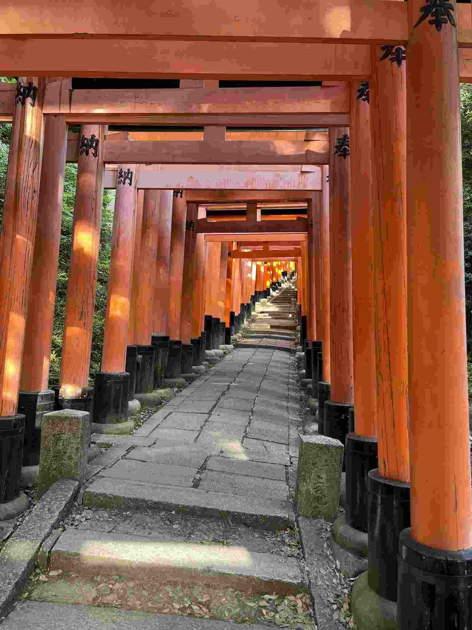 Fushimi Inari Shrine