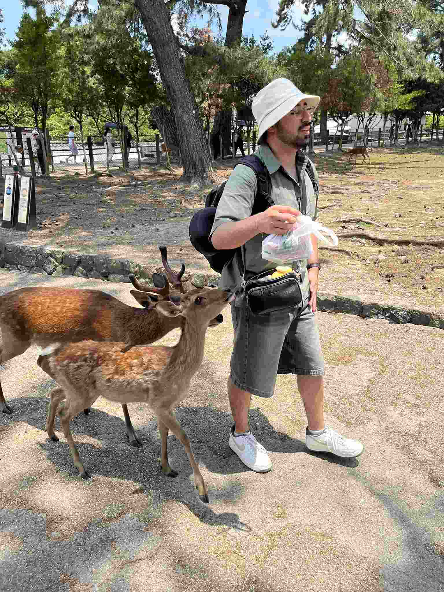 Nara Park