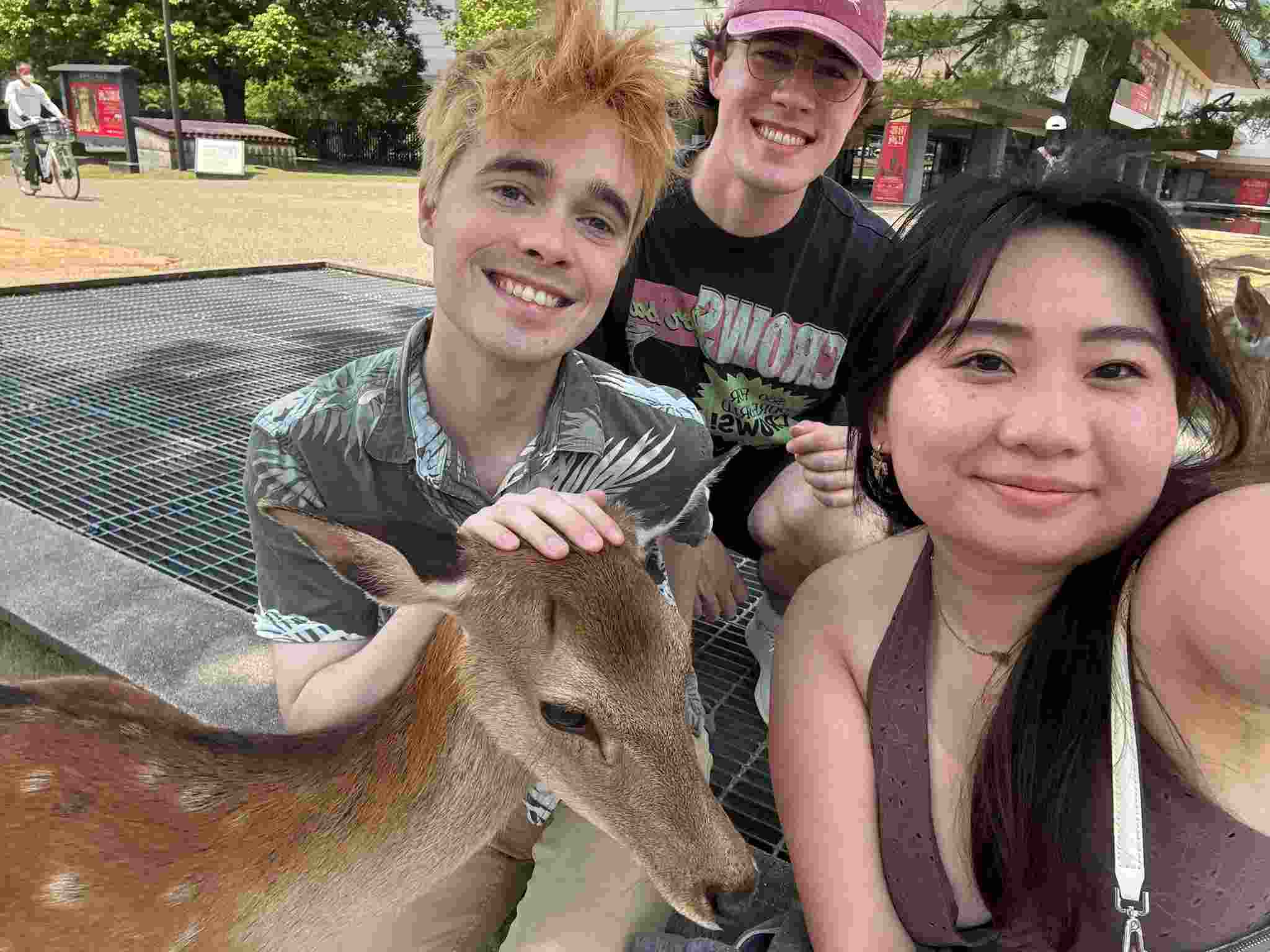 Nara Park