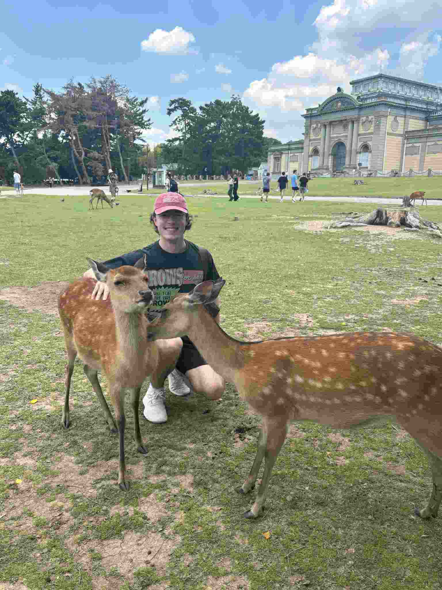 Nara Park