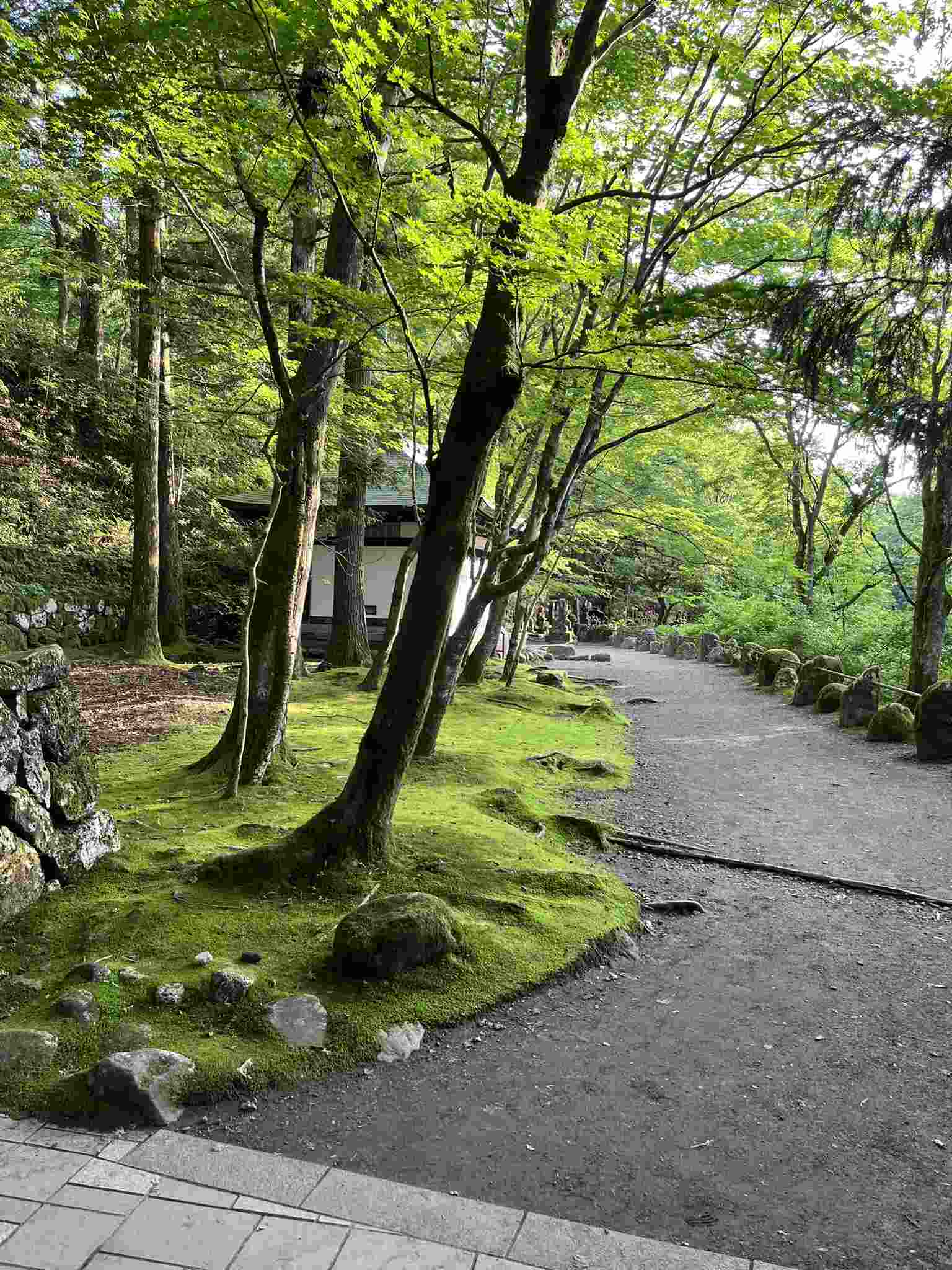 Nikko