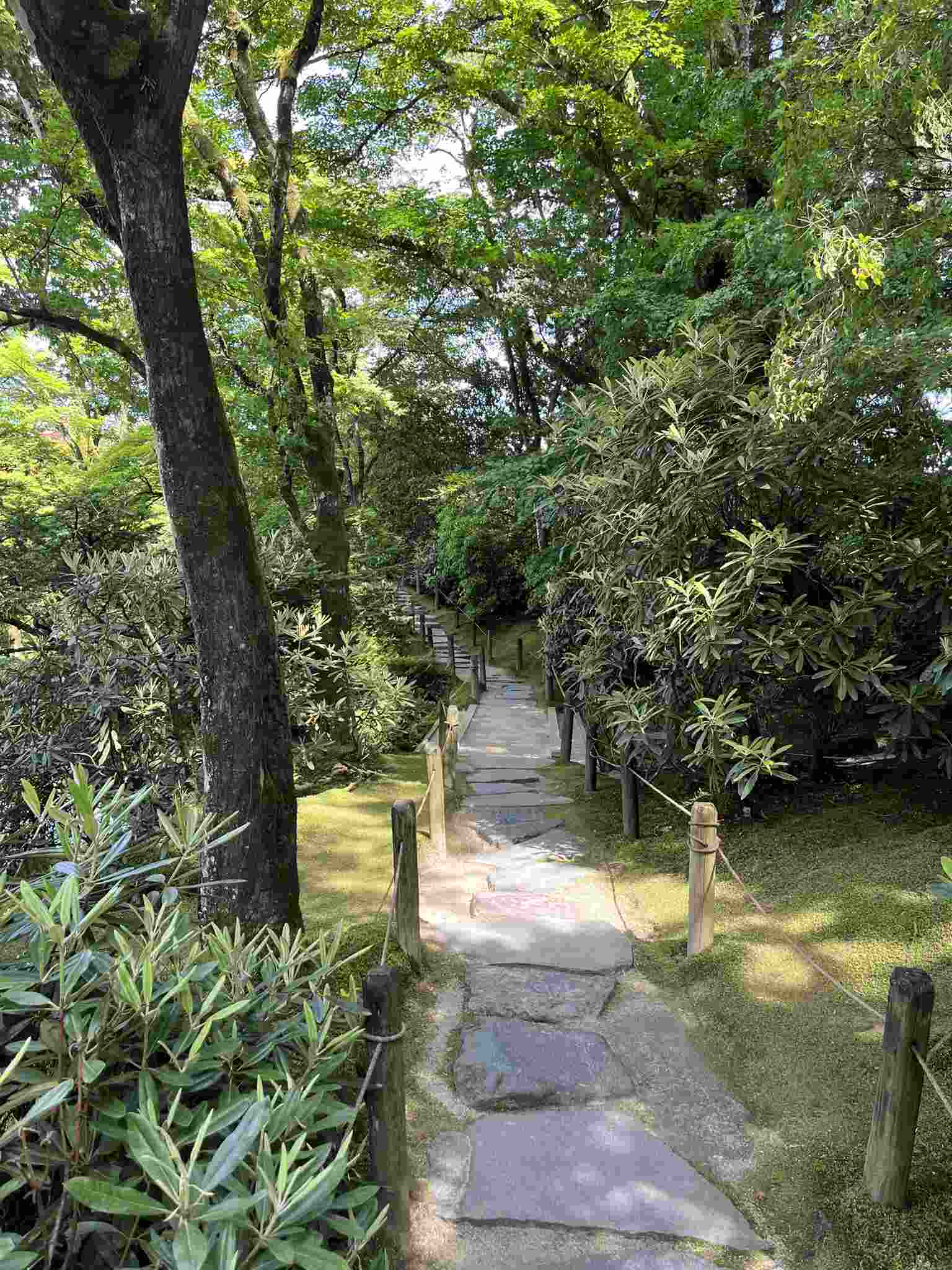 Nikko